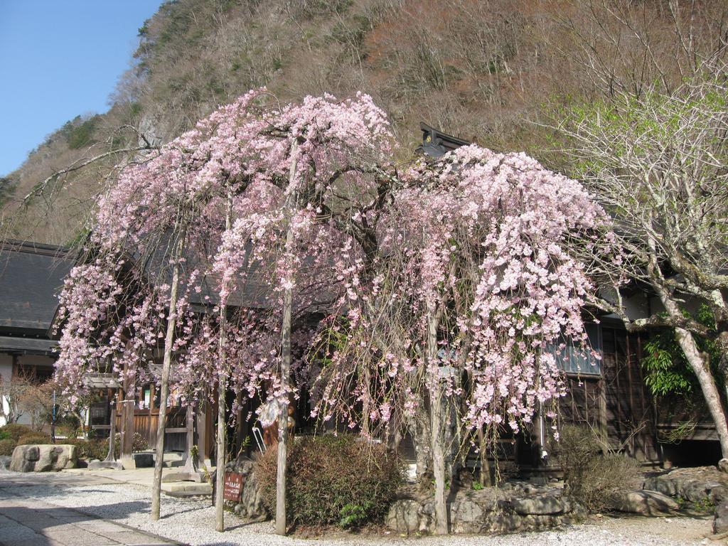 Masugen Ryokan Tenkawa المظهر الخارجي الصورة